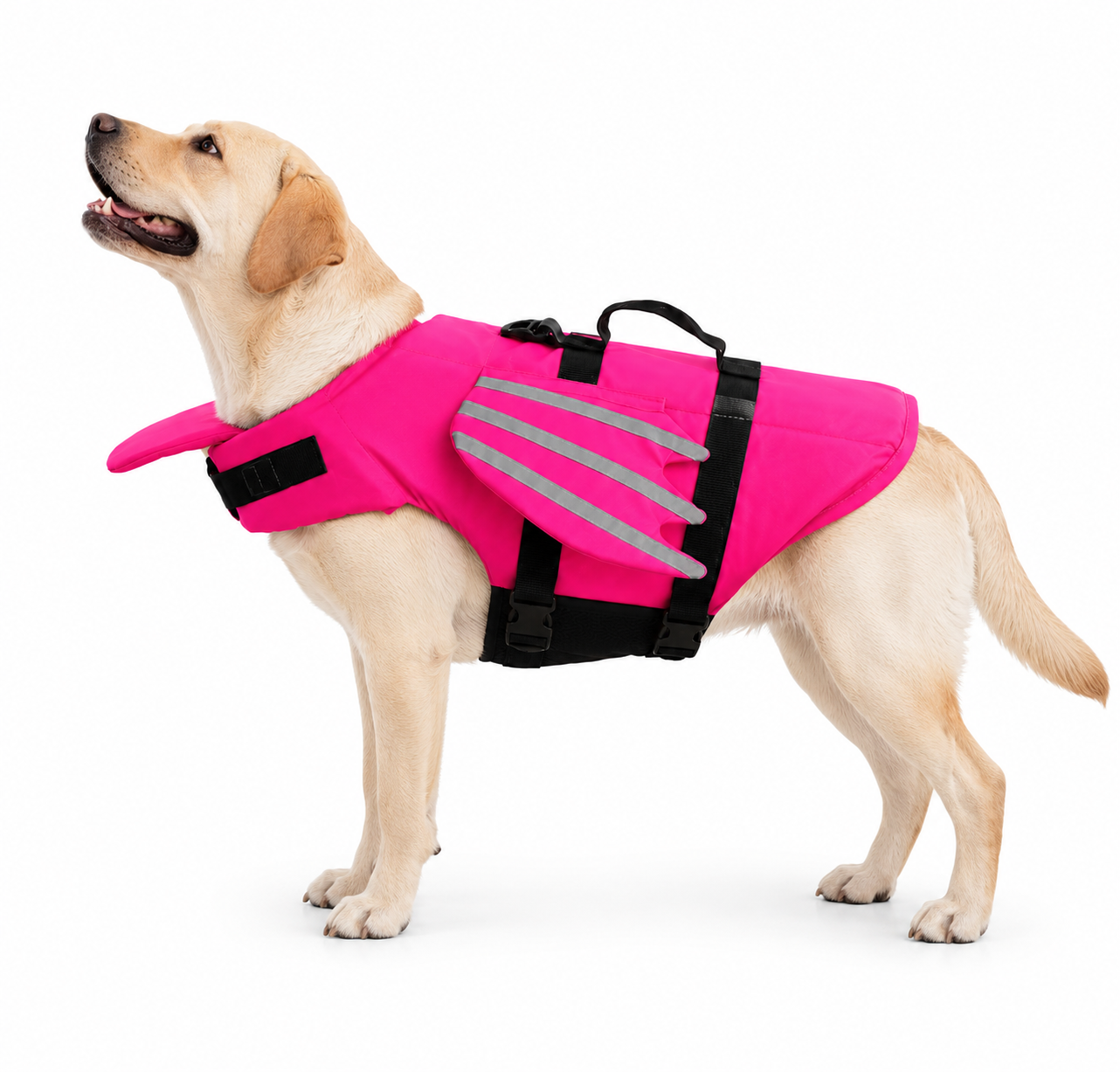 Schwimmweste für Hunde mit Kinnstütze