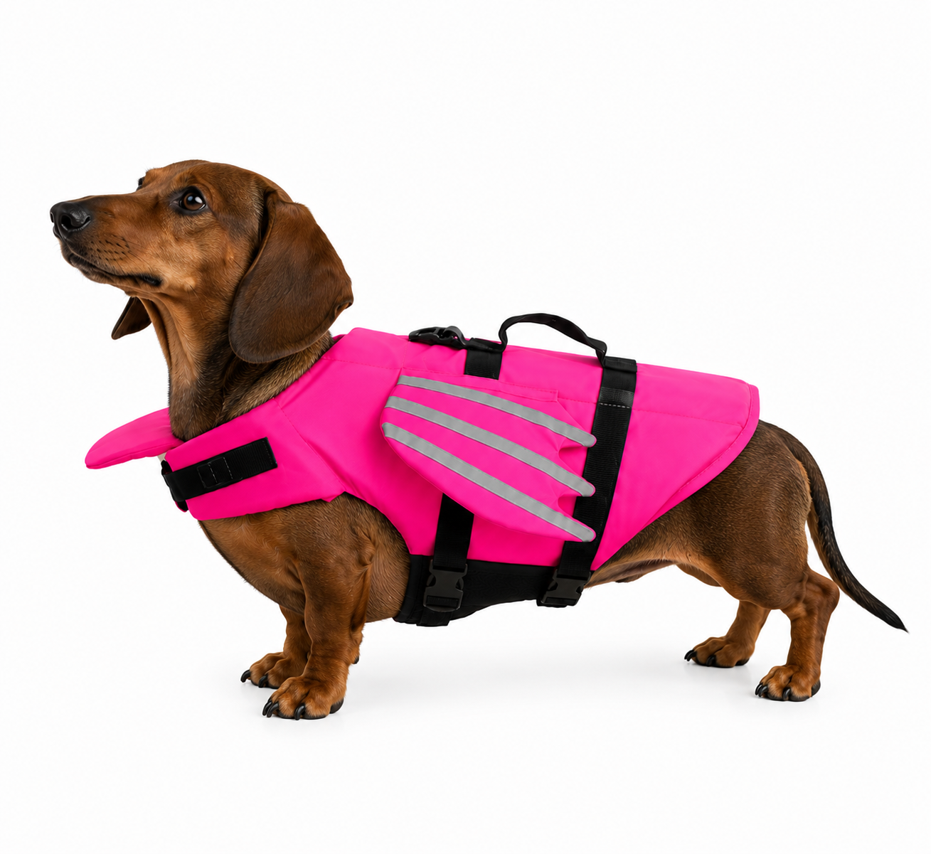Schwimmweste für Hunde mit Kinnstütze